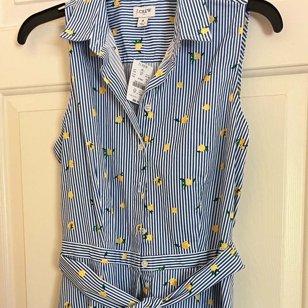 J Crew Ladies dress